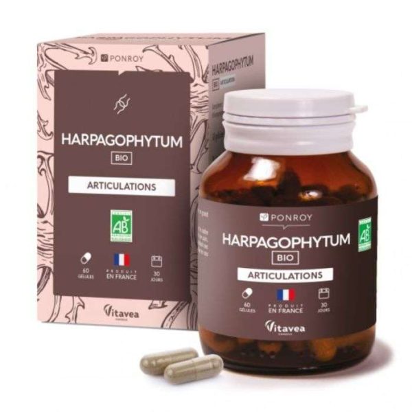 YVES PONROY HARPAGOPHYTUM ARTICULATIONS 60 GELULES
